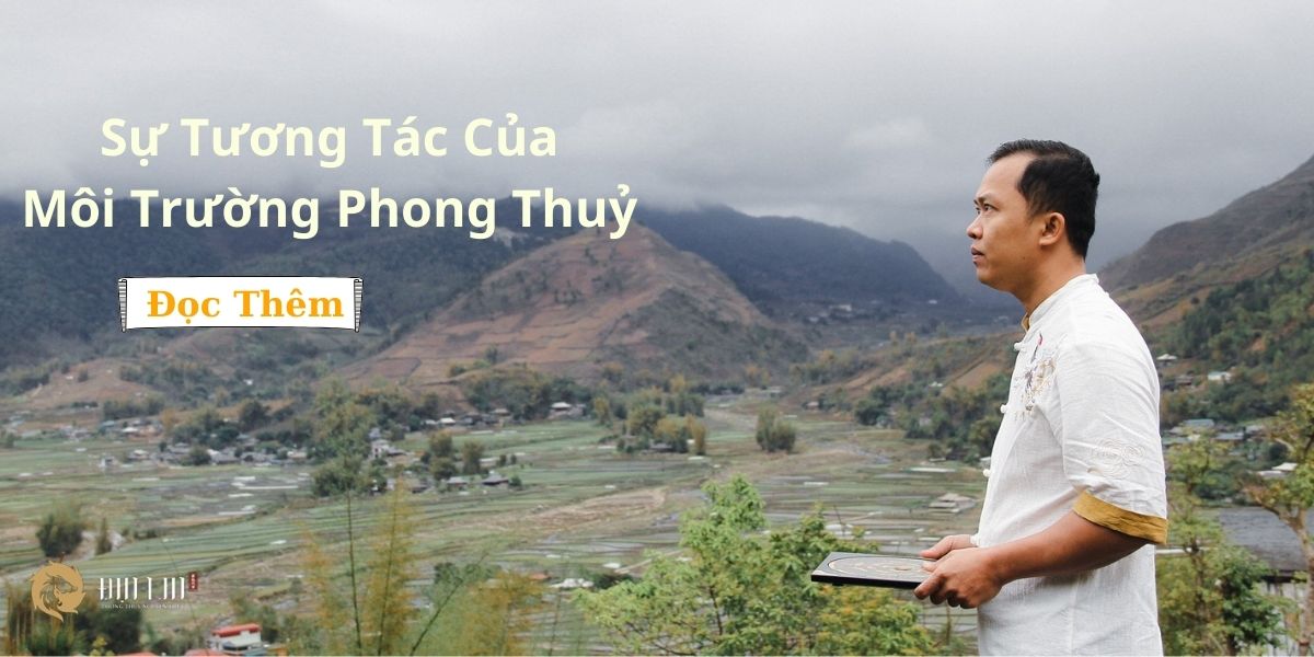 S Tng Tc Ca Mi Trng Phong Thu